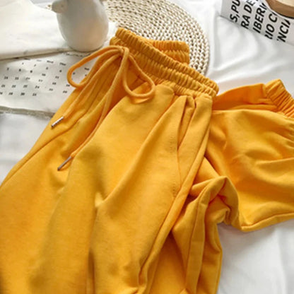 45701636653276|45701636686044|45701637505244|45701637538012|45701637570780|45701637603548